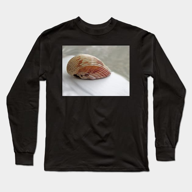 Shell On Board Long Sleeve T-Shirt by EileenMcVey